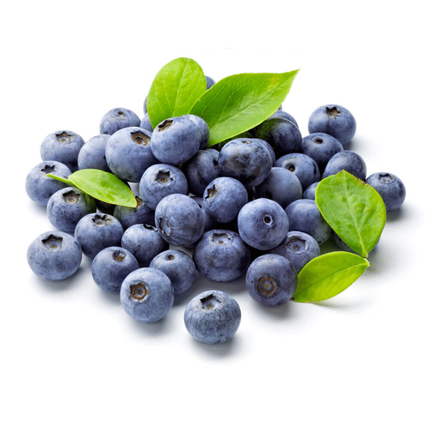 Giant Blueberry Fruit Seeds (100 Seeds a Pack)