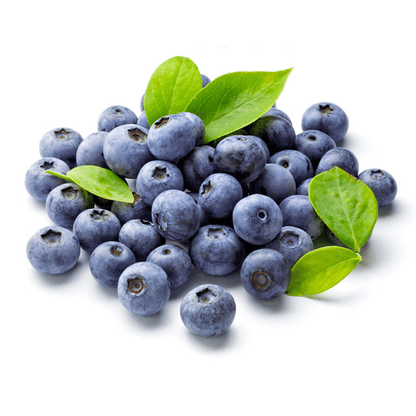 Giant Blueberry Fruit Seeds (100 Seeds a Pack)