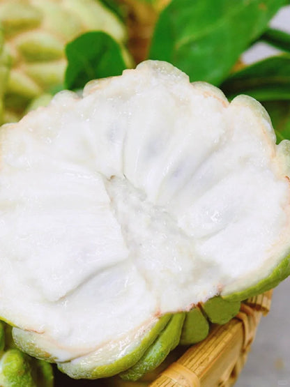 Sugar Apple Seeds