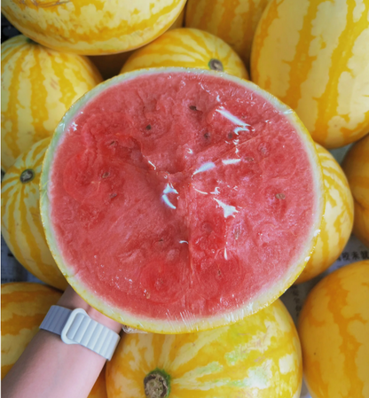 Ruby Watermelon Seeds