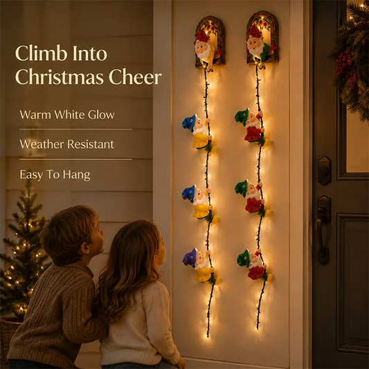 🎄Christmas Gnome String Lights