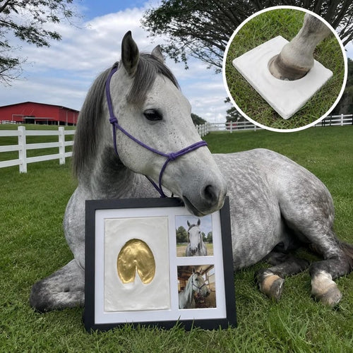 🐴 Horse Hoofprint & Family Keepsake Clay Kit – For Paws, Hands & Footprints 🖼️