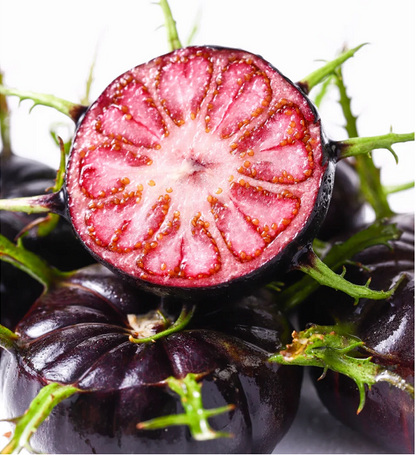 Red Fruit Ginseng Seeds-Spider Fruit