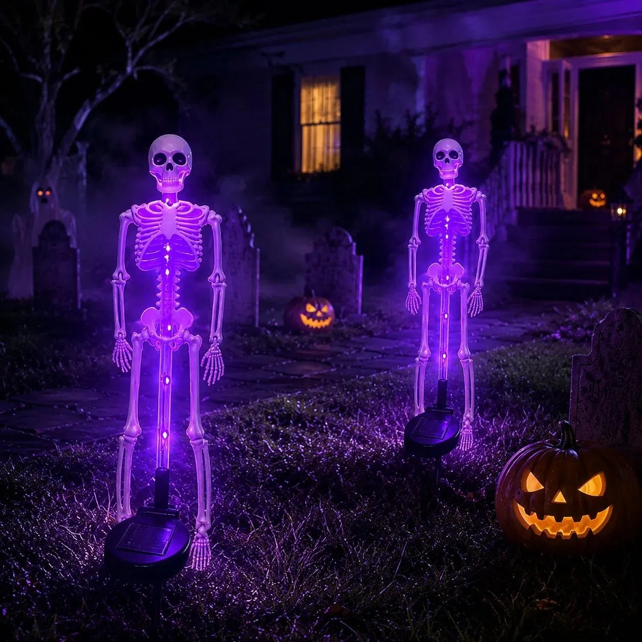 Solar Skeleton YardStake