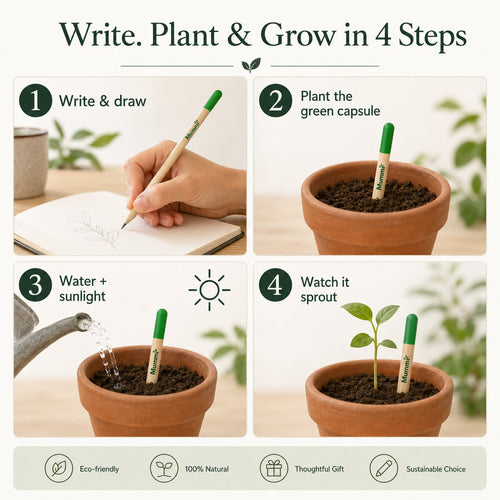 🔥Last Day 49% OFF - 🌱 Plantable Green Seed Pencil — Write, Plant & Grow